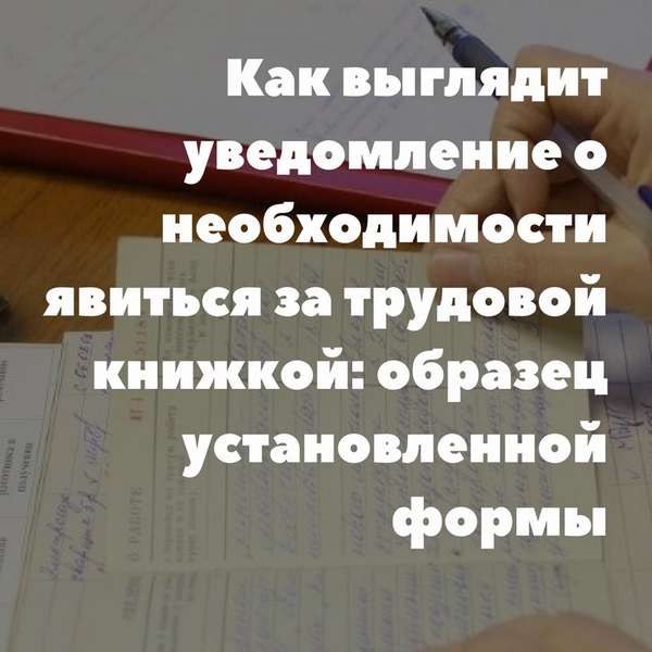 Как выглядит уведомление о необходимости явиться за трудовой книжкой: образец установленной формы