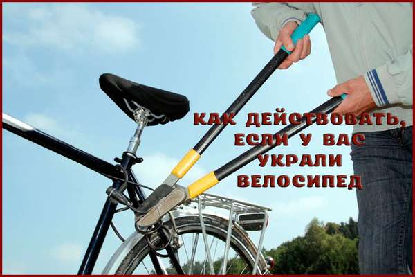 Что делать, если украли велосипед